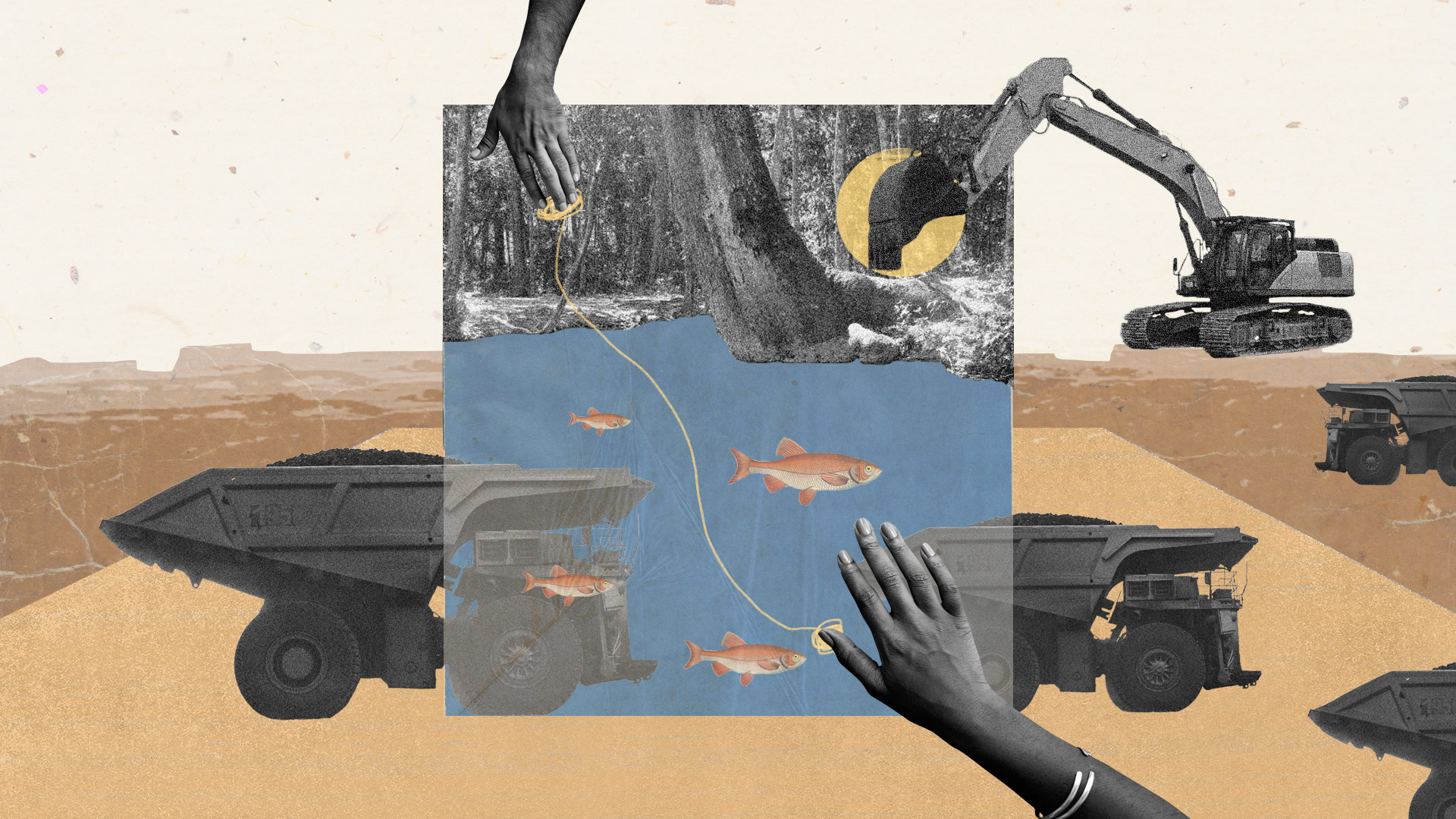 Portada_cañaverales