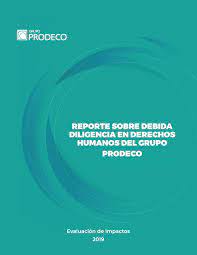 Prodecos erster Menschenrechtsbericht über die Sorgfaltspflicht ist klar ungenügend